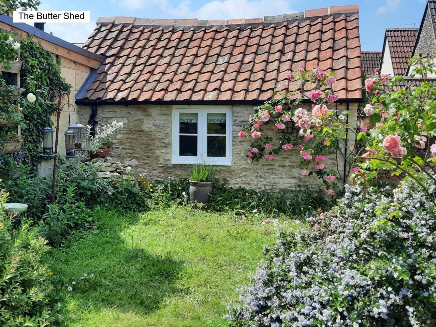 Cotswold Cottage Bed & Breakfast Luckington ภายนอก รูปภาพ